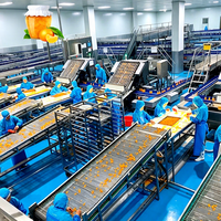 ENAK Tropisch Vers Fruit Geblikte Mandarijn Perzik Gele Perzik Machinebewerking Productielijn