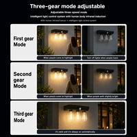 Petite lampe solaire à triple ampoule Edison avec capteur de lumière, étanche, pour véranda, patio, jardin, entrée, cour, décoration LED chaude