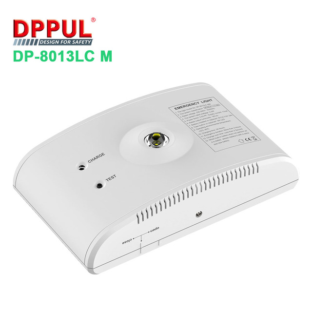 Dpuul Hot Sale Rechargeable Emergency LED IP20 Emergency Corridor Lighting