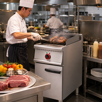 Barbecue commercial autoportant en acier inoxydable avec rôtissoire à pierres de lave et meuble de rangement