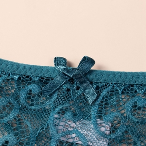 Culottes Bikini en Dentelle Sexy de Haute Qualité pour Femmes, Style Hipster Taille Moyenne en Tissu Respirant - Product Image 4