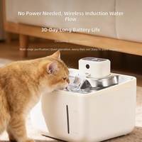 Fontaine à eau portable sans fil pour animaux de compagnie OEM/ODM, 3,5 L, en acier inoxydable 304, avec filtre à circulation automatique pour chats