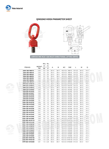 Hidea nhà sản xuất nhiệm vụ nặng nề xoay <span class=keywords><strong>hoist</strong></span> Nhẫn Metric chủ đề 20rh303 (m8-m16) G80 đa hướng nâng xoay - Product Image 2