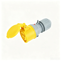 Prise et fiche industrielles mâle et femelle 16A 110V 2P+E P11342L avec indicateur LED néon