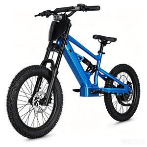 Bicicleta de Equilibrio para Niños de 20 Pulgadas, 48V, 6.0AH, 1000W, Diseño sin Escobillas, Sensor Inteligente, Litio, Aluminio, para Niños - Product Image 5