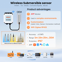 Transmitter Level Cairan Ultrasonik Submersible Profesional Moray OEM Industrial Rs485, Sensor Level Tangki Akurasi Tinggi