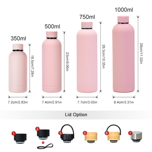 Biểu Tượng Tùy Chỉnh 500Ml 750Ml BPA Miễn Phí Nhỏ Miệng Đôi Tường Cổ Điển Chân Không Nhiệt Thể Thao Thép Không Gỉ Sang Trọng Chai Nước - Product Image 4