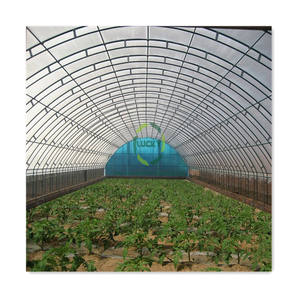 Pieghevole Snap Backyard Garden Cover Plant Stand Agribusiness Culture serra per verdure - Product Image 6