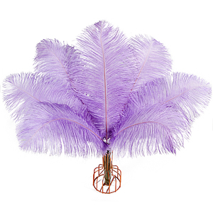 Lựa chọn chất lượng nhỏ đà điểu lông 10-12 inch nhuộm drabs cho trang phục khiêu vũ & trang trí lễ hội - Product Image 6