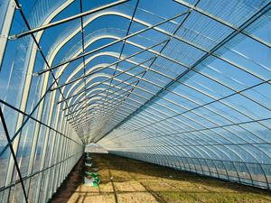 Cerceau à faible coût Structure en acier agricole Film plastique simple arc <span class=keywords><strong>serre</strong></span> 8*30M hauteur <span class=keywords><strong>3M</strong></span> à vendre - Product Image 2