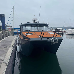 Catamaran de luxe en aluminium soudé de 10 m (33 pieds) pour la pêche, les loisirs, les sports nautiques, la croisière et la location - Product Image 3