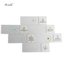 8pcs Glass Root Microscope Prepared Slides Set for School Teaching Aids in Botany & Biology