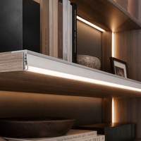 Profilé LED en aluminium encastré pour éclairage de meuble et d'étagère