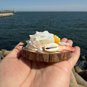 Imanes de Refrigerador con Rebanadas de Madera Creativas, Hechos a Mano con Conchas Naturales y Estrellas de Mar, Regalos Promocionales Empresariales - Product Image 4