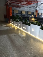Jardinières Commerciales LED en Acier Galvanisé, Boîte de Jardinage Extérieure en Métal Étanche avec Éclairage LED pour Jardin et Café - Durables et Luxueuses