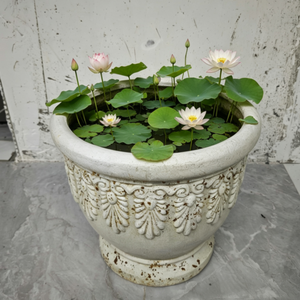Décoration pour maisons, grands pots à plantes, jardinières en FRP Lotus, pots d'extérieur pour plantes - Product Image 5