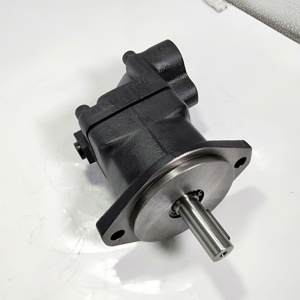 มอเตอร์ F11-006/010 F11-010-RB-CV-K-000 มอเตอร์แบบเคลื่อนที่คงที่ F11-010-SB-CV-K-000 F11 F11-010-MB-SH-K-000 - Product Image 1