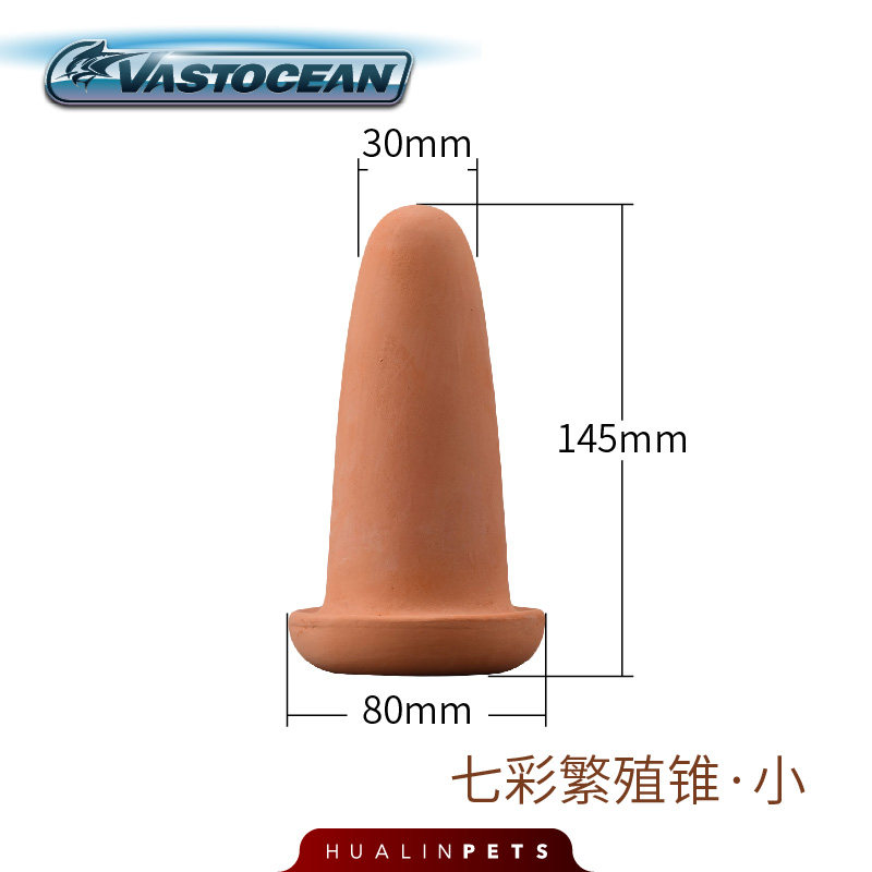 Cono di allevamento colorato - piccolo