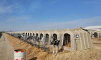 Fourniture du fabricant d'igloos pour veaux: maisons pour veaux en polyéthylène, cabanes pour veaux, hangars pour veaux d'élevage en ranch, igloos pour veaux