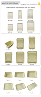 Conteneur alimentaire plat jetable en bagasse de canne à sucre, écologique, biodégradable, réutilisable, étanche, 8x8 pouces, pour gelée, vente en gros