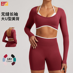Haut de yoga sans couture Allure Body pour femme, manches longues, dos nu, col croisé, vêtements de sport et de fitness - Product Image 2