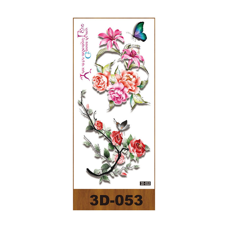 3 d053