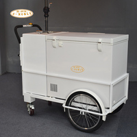 Nouveau chariot à glace avec réfrigérateur et système d'évier Spectacle de rue vente de boissons froides chariots à Popsicle