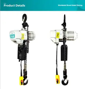 Electric Hoist Type Ty1 China Manufacture Electric Chain Block 1 Ton 2 Ton 3 Ton 5 Ton Chain Electric Hoist With Hook