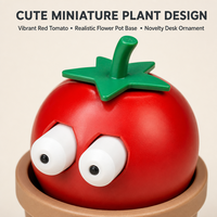 Jouet sensoriel tomate à yeux qui sortent pour enfants, jouet anti-stress à presser, jouet éducatif, nouveauté, coffret cadeau