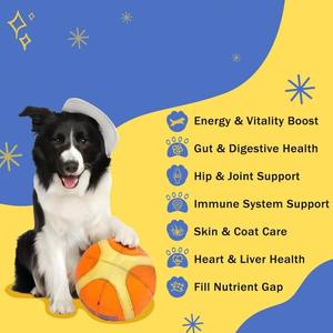 Servizio OEM/ODM: Integratore Multivitaminico per Animali Domestici, Compresse con Vitamine Essenziali e Minerali, Cibo per Cani con Probiotici e Omega - Product Image 2