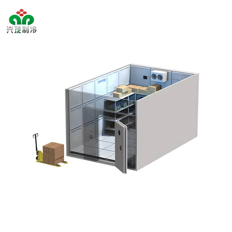 High Quality Seafood and Meat Storage Low Temperature -18 Freezer walk in