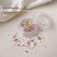 Accessoires de résine pour nail art : fleurs séchées, pétales de peinture à l'huile style Monet, petites fleurs d'inspiration japonaise, assortiment DIY