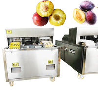 Kersenontpittermachine RVS 20 kg/u 380 V Industriële multifunctionele motor Commerciële apparatuur