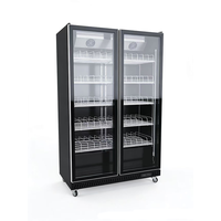 Réfrigérateur commercial à double porte vitrée pour boissons, vitrine réfrigérée, économie d'énergie, refroidisseur de boissons pour bar, restaurant, commerce de détail