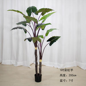 ต้นโอ๊กกล้วยเทียมขนาด60ซม. เทยาง <span class=keywords><strong>Ficus</strong></span> เทรนด์ใหม่ของพืชสีเขียวประดิษฐ์พร้อมกระถาง - Product Image 6