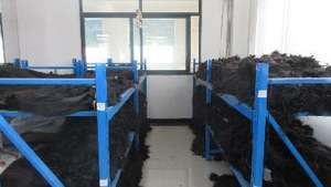 <b>Tight</b> Curl <b>Pattern</b> Vietnamese Raw Human Hair Extensions Kinky Curly Keratin I U V Flat Tips Custom Color 8-40 Inch - Product Image 6