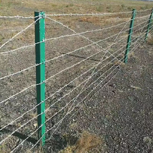 Rouleau de fil <span class=keywords><strong>barbelé</strong></span> galvanisé calibre 12,5, 500 m, avec supports de clôture - Product Image 6