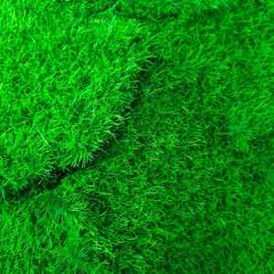 正方形人工モス家庭用高品質1m * 1mプラスチック人気OEMサービスプラスチック植物プラスチック草リアルな緑色 - Product Image 2