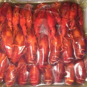 Crayfish/crawfish congelados, nuevo procesamiento