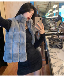 Abrigo <span class=keywords><strong>de</strong></span> piel sintética para mujer, chaleco <span class=keywords><strong>de</strong></span> <span class=keywords><strong>pelo</strong></span> <span class=keywords><strong>de</strong></span> <span class=keywords><strong>conejo</strong></span> falso <span class=keywords><strong>de</strong></span> lujo sin mangas, nueva chaqueta coreana, chaleco para mujer, chaqueta sin mangas justa - Product Image 5