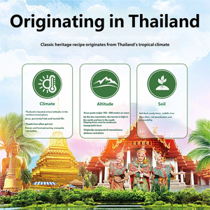 Balsem Herbal Thailand Hijau Pereda Nyeri Sakit Kepala Otot Pendingin untuk Olahraga Luar Ruangan Gigitan Serangga 10+ Tahun Pabrik OEM - Product Image 6