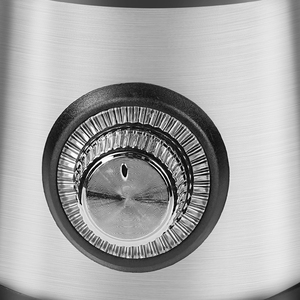 Haley điện nhà máy chuyên nghiệp nước trái cây Bộ vi xử lý máy ép trái cây 1200 Wát bán buôn trái cây vắt máy thép không gỉ Máy ép trái cây - Product Image 6