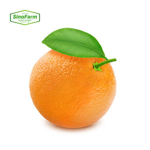 Oranges fraîches jaunes, agrumes doux et juteux, Orange nourrissante saine, meilleure qualité, fraîcheur, val, ovale, rond - Product Image 2