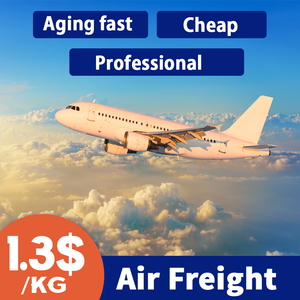 Transit rapide porte-à-porte par air et mer DDP LOGISTIQUE de Chine vers l'Europe, les États-Unis et la France - Product Image 2