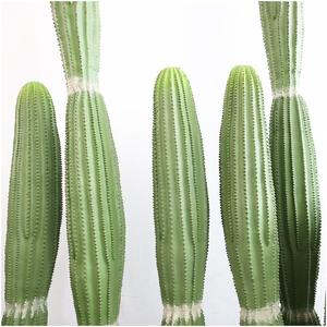 Planta Artificial Colgante <span class=keywords><strong>de</strong></span> Aspecto Real, Otras Flores y Plantas Decorativas, <span class=keywords><strong>Cactus</strong></span> Artificial para Cementerios - Product Image 5