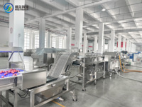 Ligne de traitement clé en main pour fruits et légumes : lavage, séchage à l'air, inspection lumineuse, ligne de production complète personnalisée