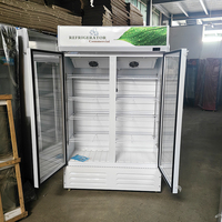 Kulkas Display Kompresor Udara Kaca Baru Grosir, Pendingin Kipas 1 Pintu yang Dapat Disesuaikan, Layar LED Portabel untuk Minuman Energi