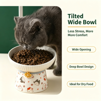 Gamelle surélevée en céramique pour chat, inclinée, protection du cou, vente en gros, OEM, ODM, fournisseur de logos personnalisés