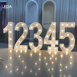 LEDA Letras y Números Metálicos Iluminados LED Personalizados con Transformador para Eventos, Centros Comerciales y Decoración de Fiestas de Cumpleaños - Product Image 1