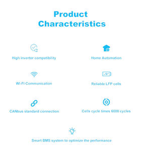 6000 cycli alles-in-één omvormer en lithium-ion batterij 25,6V 48V 51,2V 100Ah voor off-grid en hybride netwerksystemen - Product Image 6